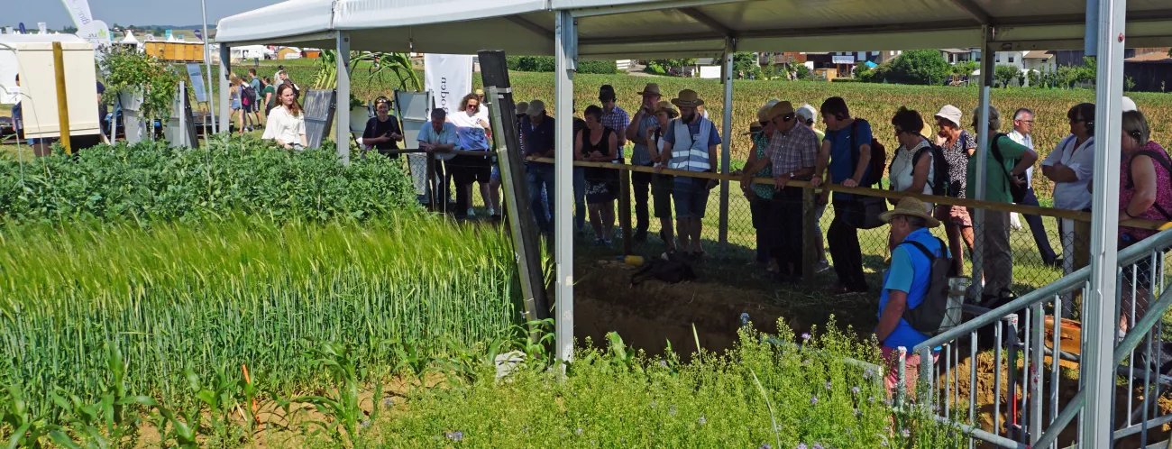 Unter einem weißen Pavillon steht eine Besuchergruppe an einem Bodenprofil