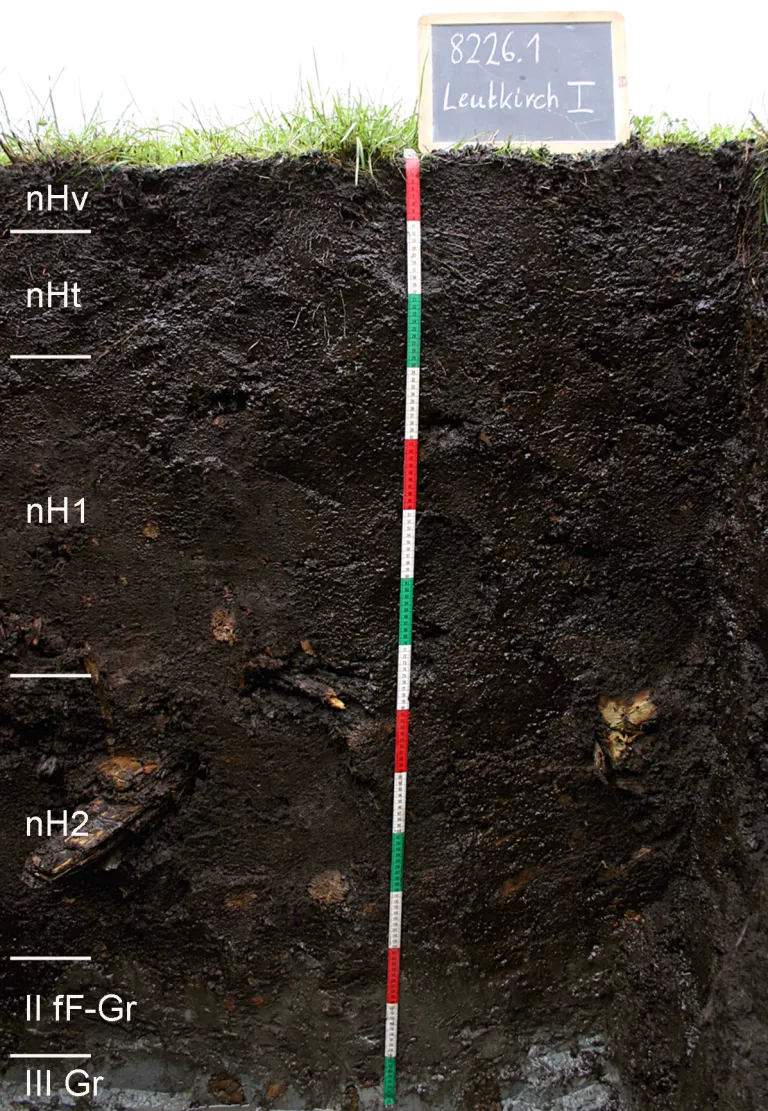 Das Bild zeigt ein Bodenprofil unter Grünland. Es handelt sich um ein Musterprofil des LGRB. Das sechs Horizonte umfassende, schwarzbraune Profil ist 1,50 m tief.