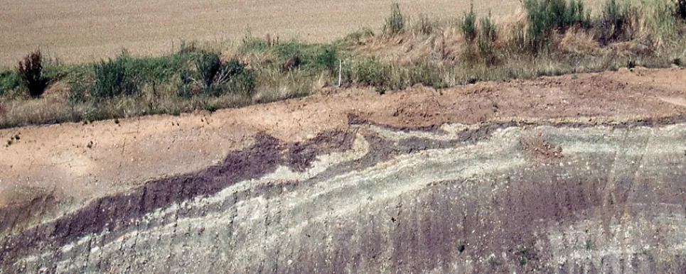 Die Aufschlusswand zeigt unten eine Wechselfolge von rotviolettem und grauweißem Gestein, das oben girlandenartig verformt ist. Darüber liegt ein geringmächtiges hellbraunes Sediment. Hinter einem schmalen Grünstreifen folgt eine Ackerfläche.